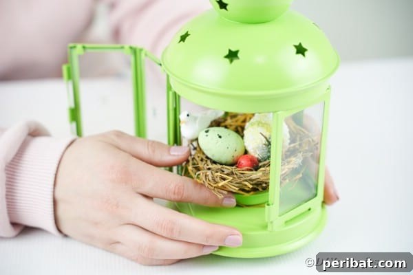 Gluing birds nest inside lantern
