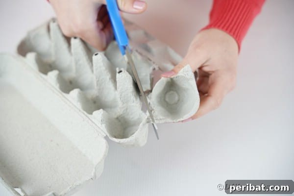 Cutting a section out of an egg carton