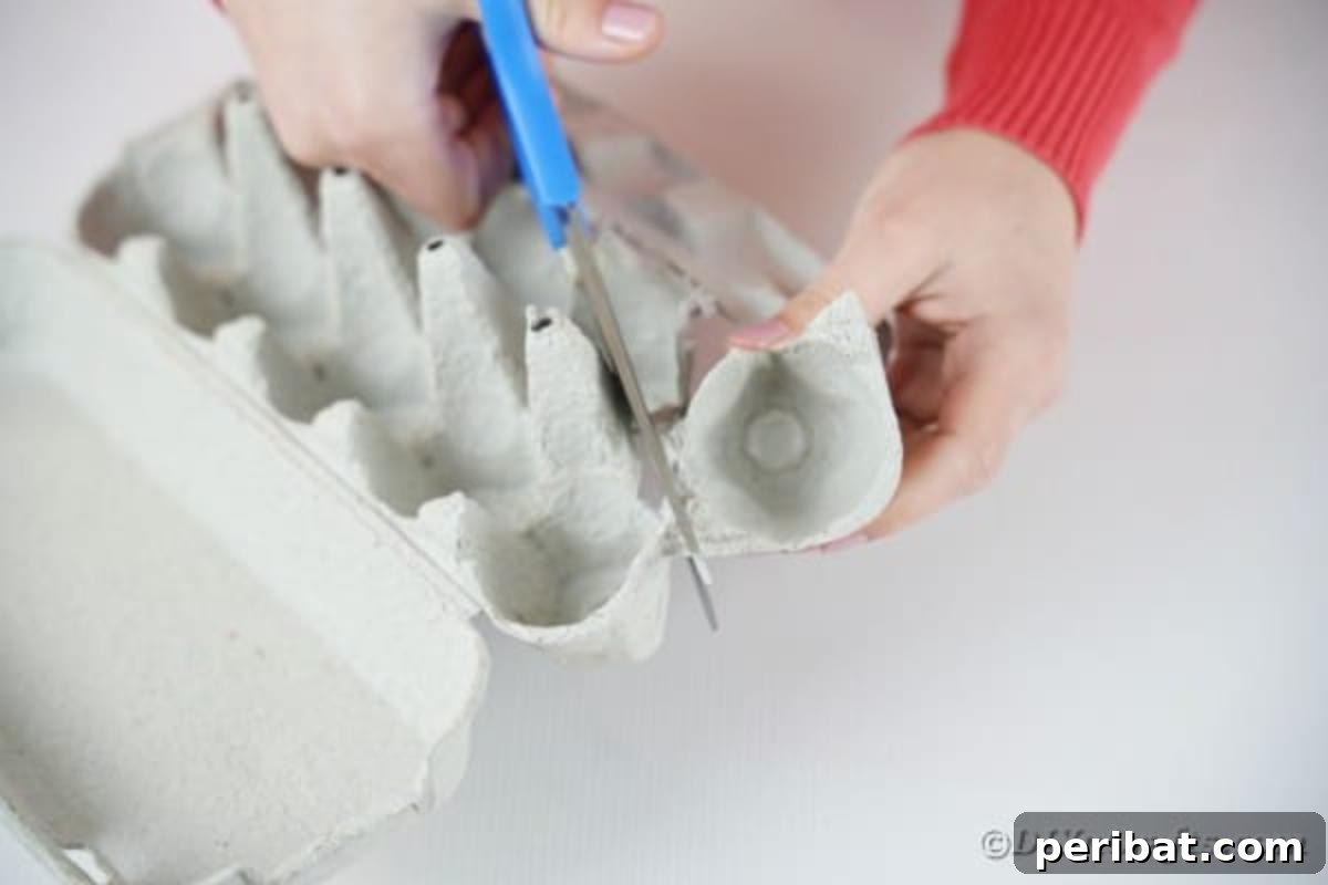 Cutting a section out of an egg carton
