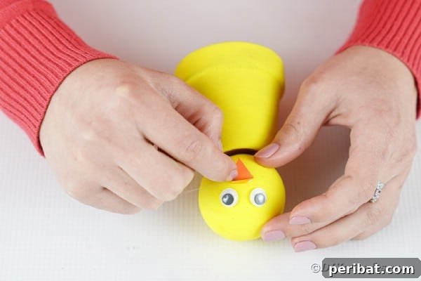 Adding eyes and nose to chicken