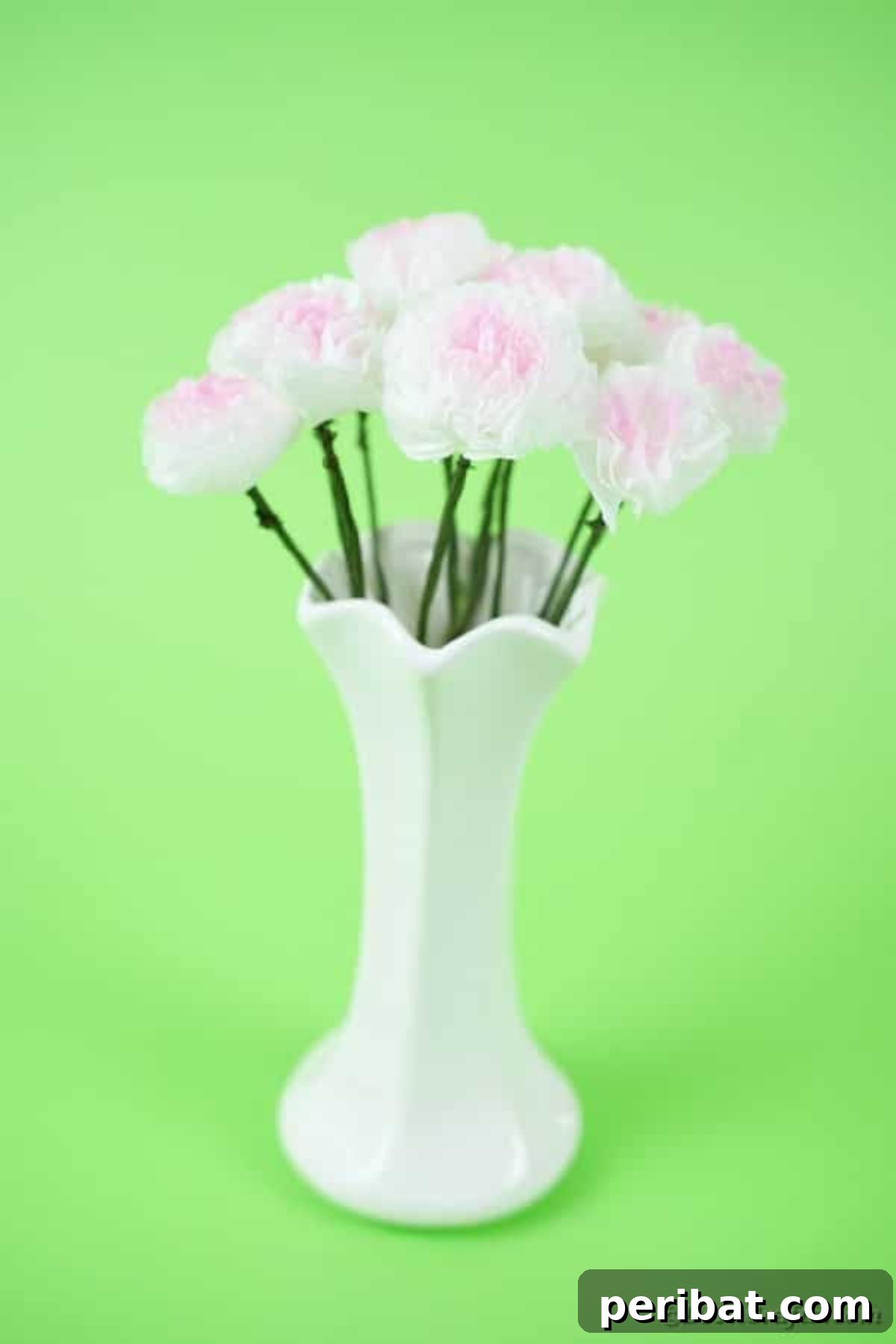 Craft Vibrant Tissue Blooms Video Tutorial 3 Delicate tissue paper flowers in a white vase on a vibrant green background, showcasing their beauty