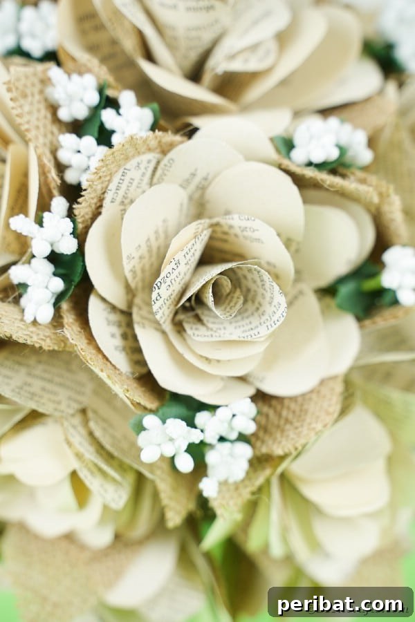 Single old book rose showing delicate petal layers