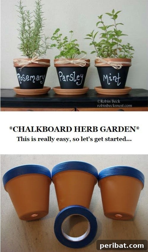 Label your herbs (or other plants).