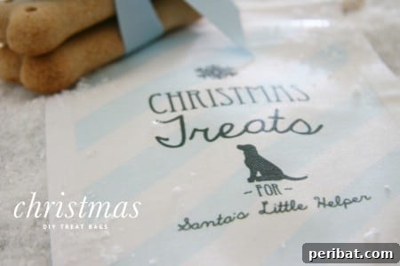 100 Awesome DIY Christmas Gifts People Will Rave About 26 Pet Treats