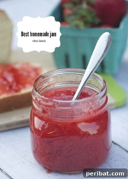 100 Awesome DIY Christmas Gifts People Will Rave About 46 Jam Jars