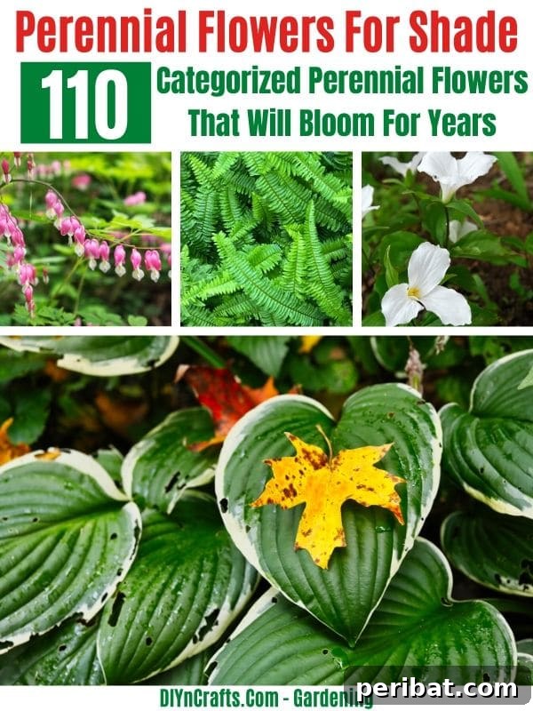 110 Enduring Perennials for Years of Vibrant Blooms 4 Shade perennial flowers.