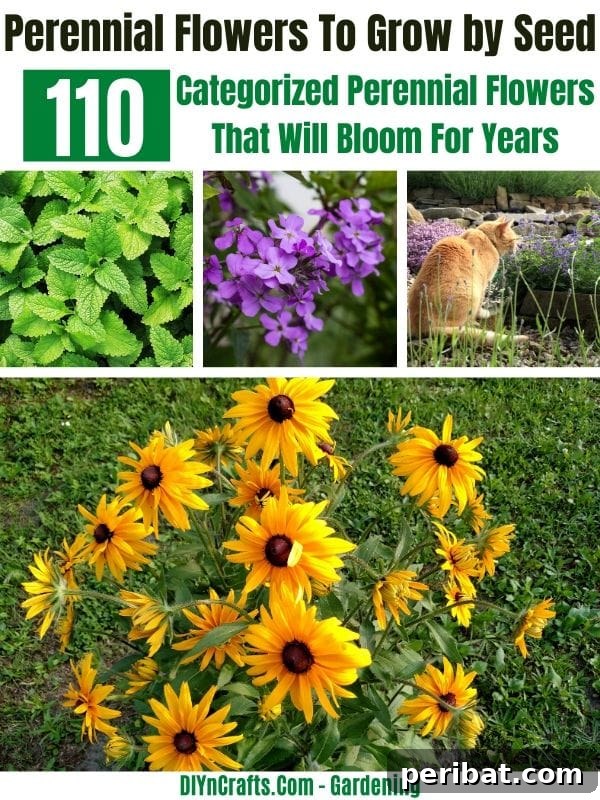 110 Enduring Perennials for Years of Vibrant Blooms 6 Best Perennials to Grow by Seed or Seedlings