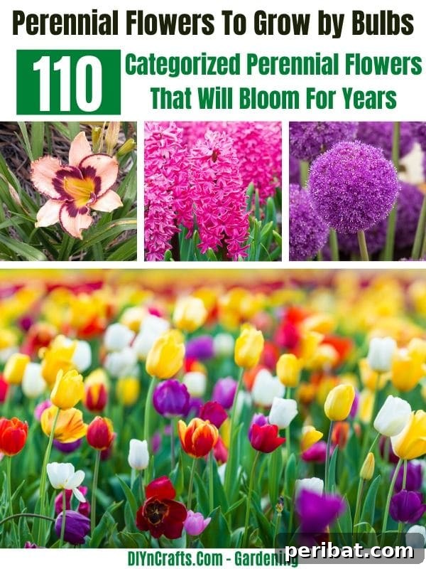 110 Enduring Perennials for Years of Vibrant Blooms 7 Best Perennials to Grow by Bulbs