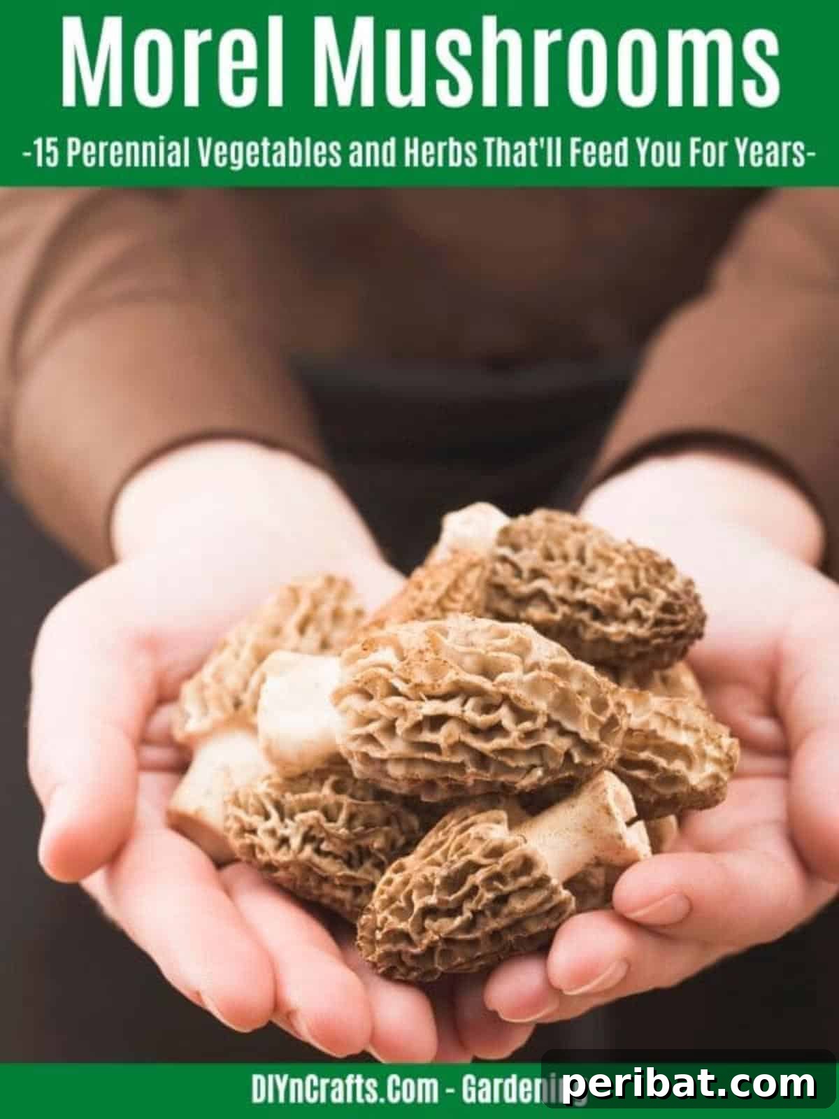 Harvest Forever: 15 Perennial Vegetables and Herbs 10 Morel Mushrooms perennial vegetable