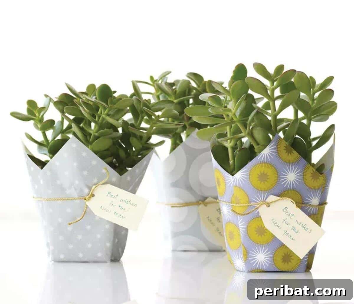 A potted plant elegantly wrapped in decorative paper and tied with a ribbon, transforming it into a beautifully presentable and living gift.