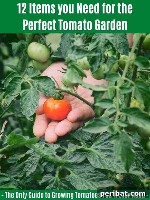 The Definitive Guide to Growing Magnificent Tomatoes 7 12 Items you Need for the Perfect Tomato Garden: