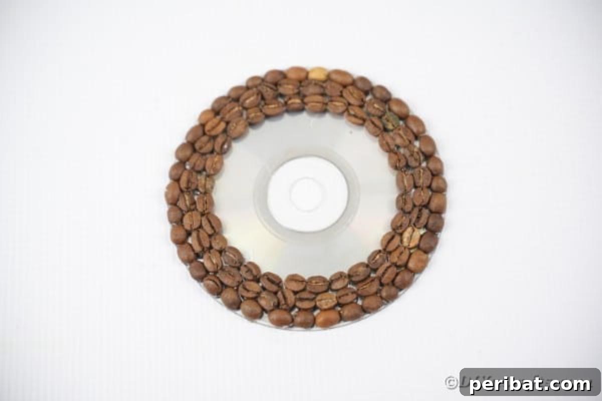 Third step: Showing the small central gap remaining after gluing coffee beans across the CD surface.