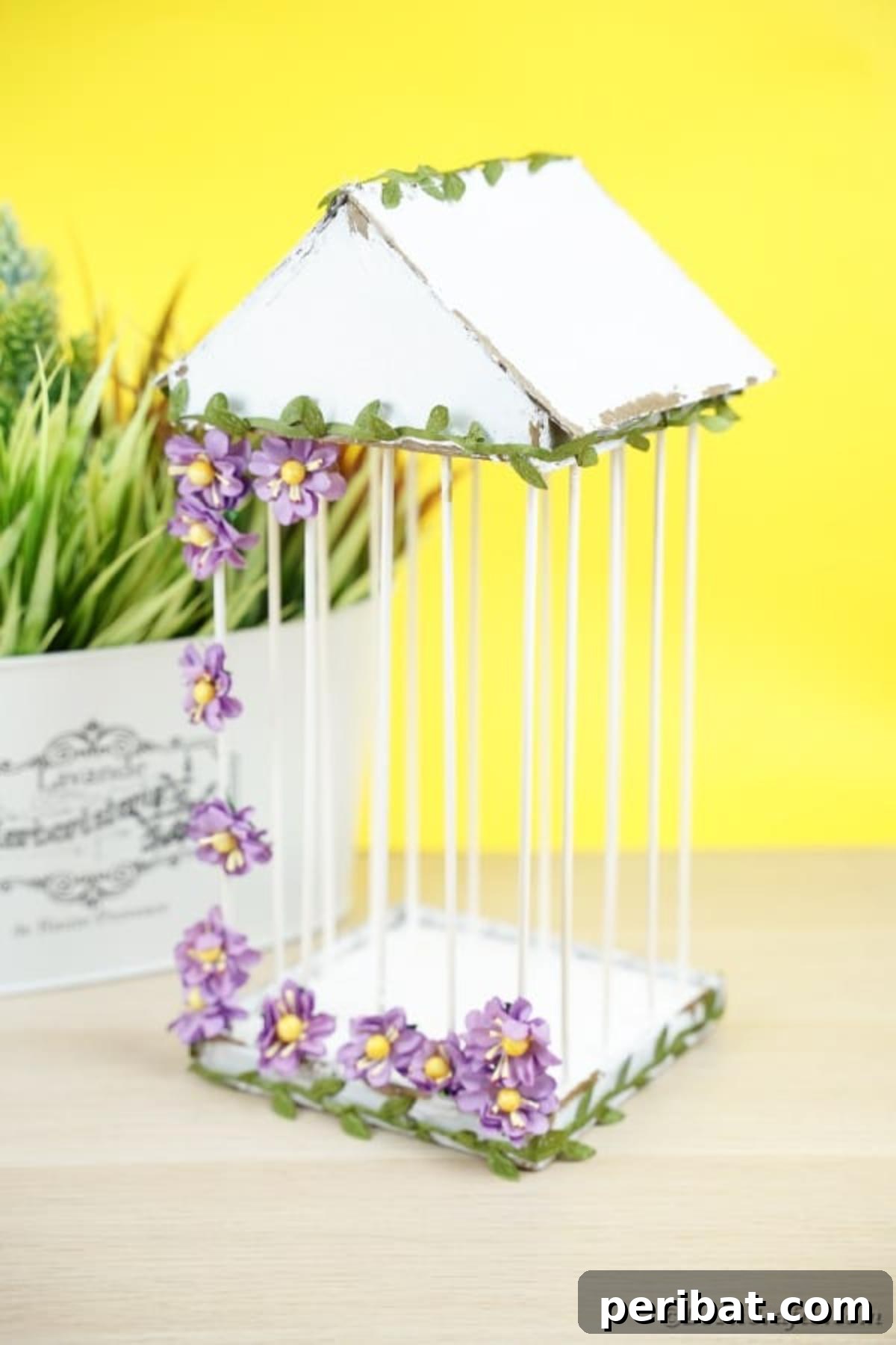 Crafting a Beautiful Floral Birdcage Display 6 Birdcage by Flower Pot with Yellow Background - A rustic DIY birdcage with natural elements in a vibrant setting.
