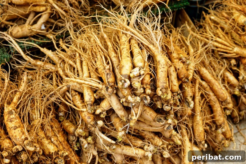 Cultivating Cash: High-Yield Crops That Pay Off 12 Ginseng plant with its distinct red berries growing in a shaded forest environment