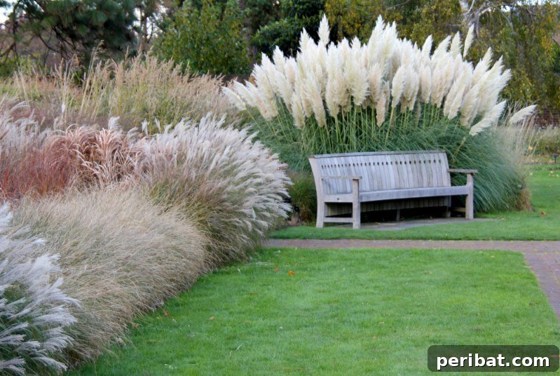 Cultivating Cash: High-Yield Crops That Pay Off 25 Lush patch of green ground cover plants, ideal for landscaping sales