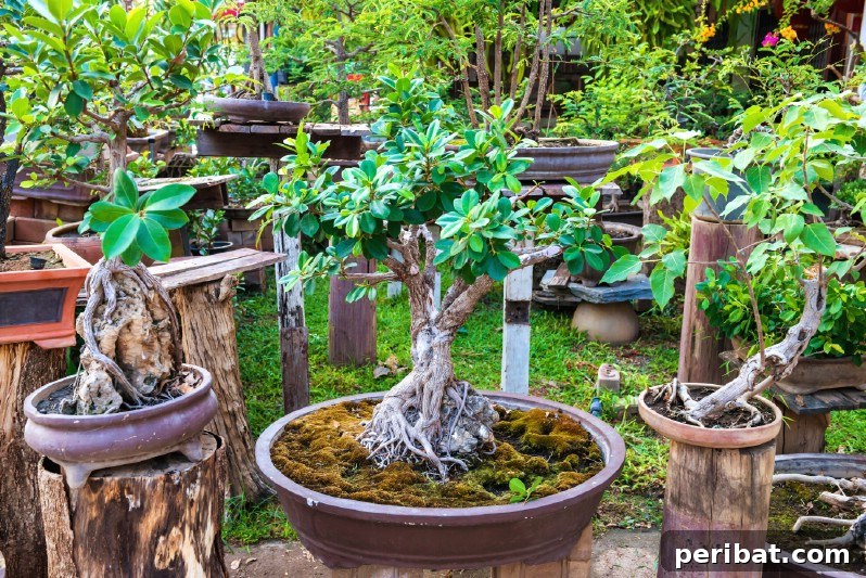 Cultivating Cash: High-Yield Crops That Pay Off 28 A meticulously cultivated miniature bonsai tree in a decorative pot
