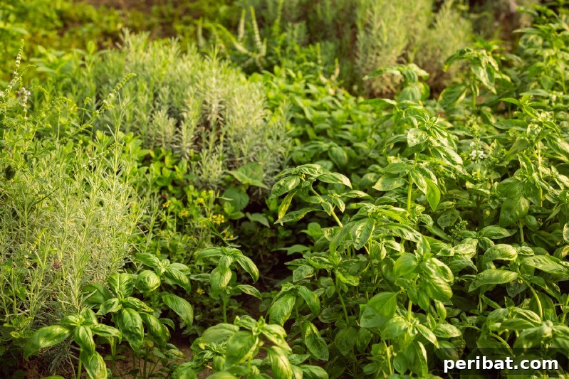 Cultivating Cash: High-Yield Crops That Pay Off 4 Freshly picked green basil leaves, emphasizing their appeal as a culinary herb