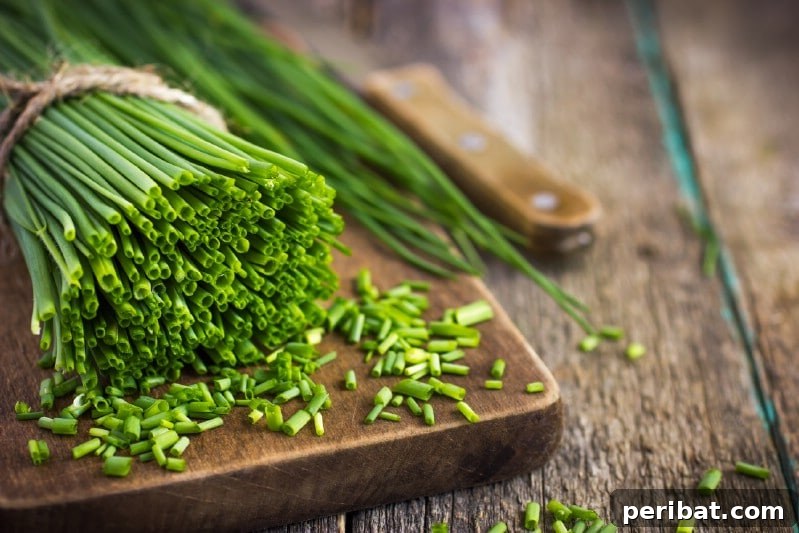 Cultivating Cash: High-Yield Crops That Pay Off 6 Close-up of fresh green chives with delicate purple blossoms, showing their ornamental and culinary appeal