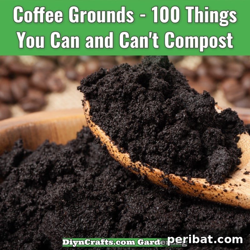 Coffee Grounds and Filters