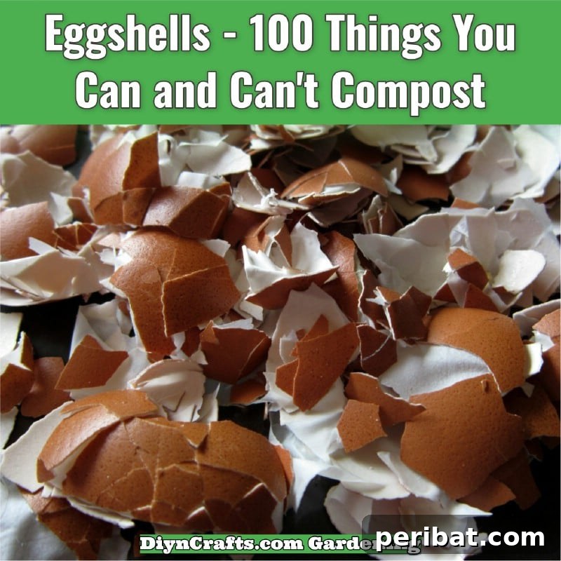 Eggshells