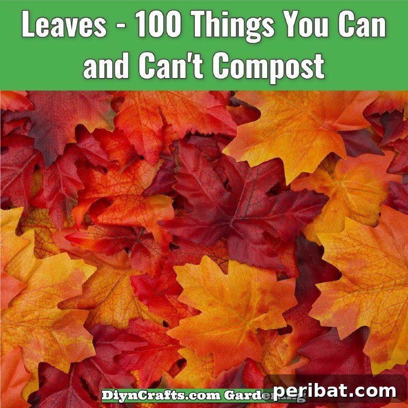 Leaves