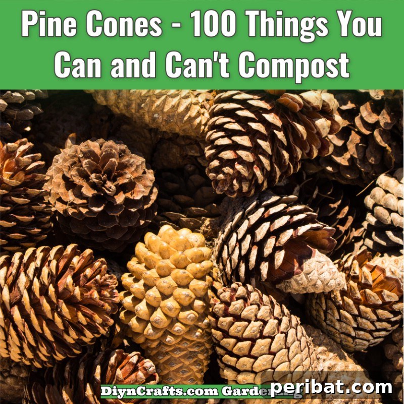 Pine cones and pine needles