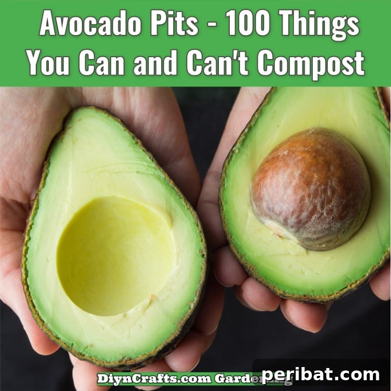 Avocado