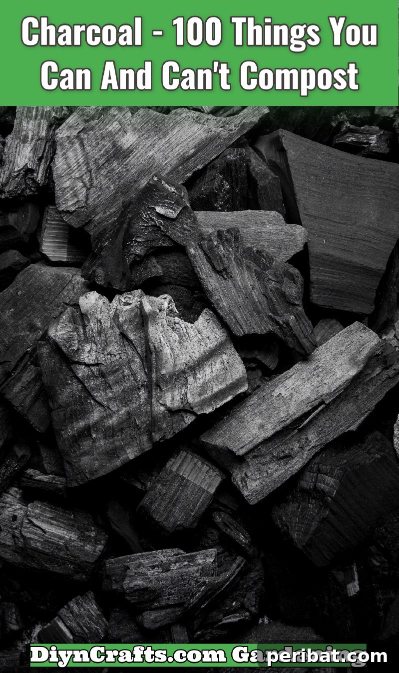 Coal or Charcoal