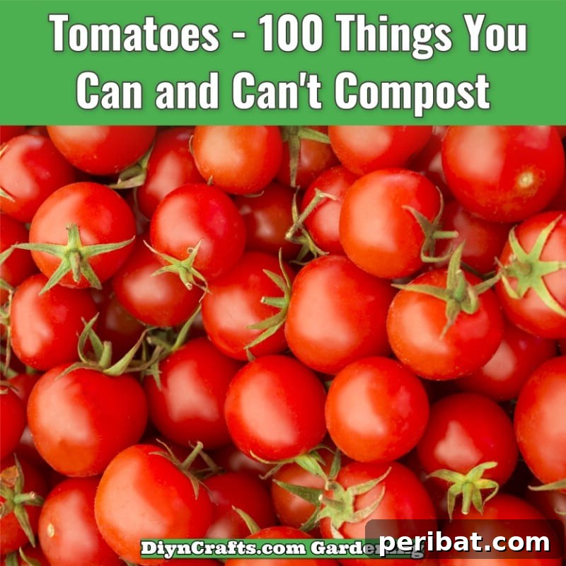 Tomatoes