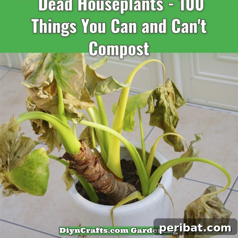 Dead Houseplants