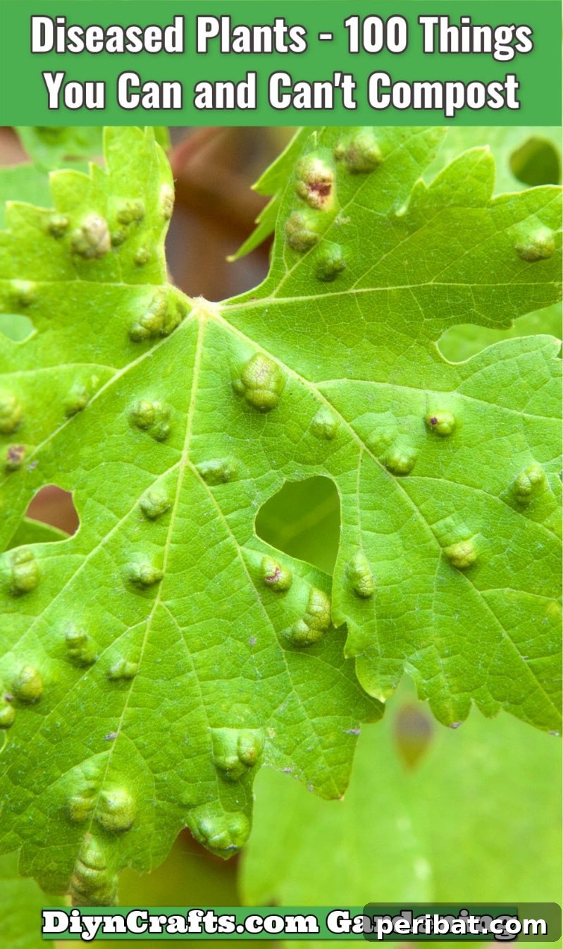 Diseased Plants