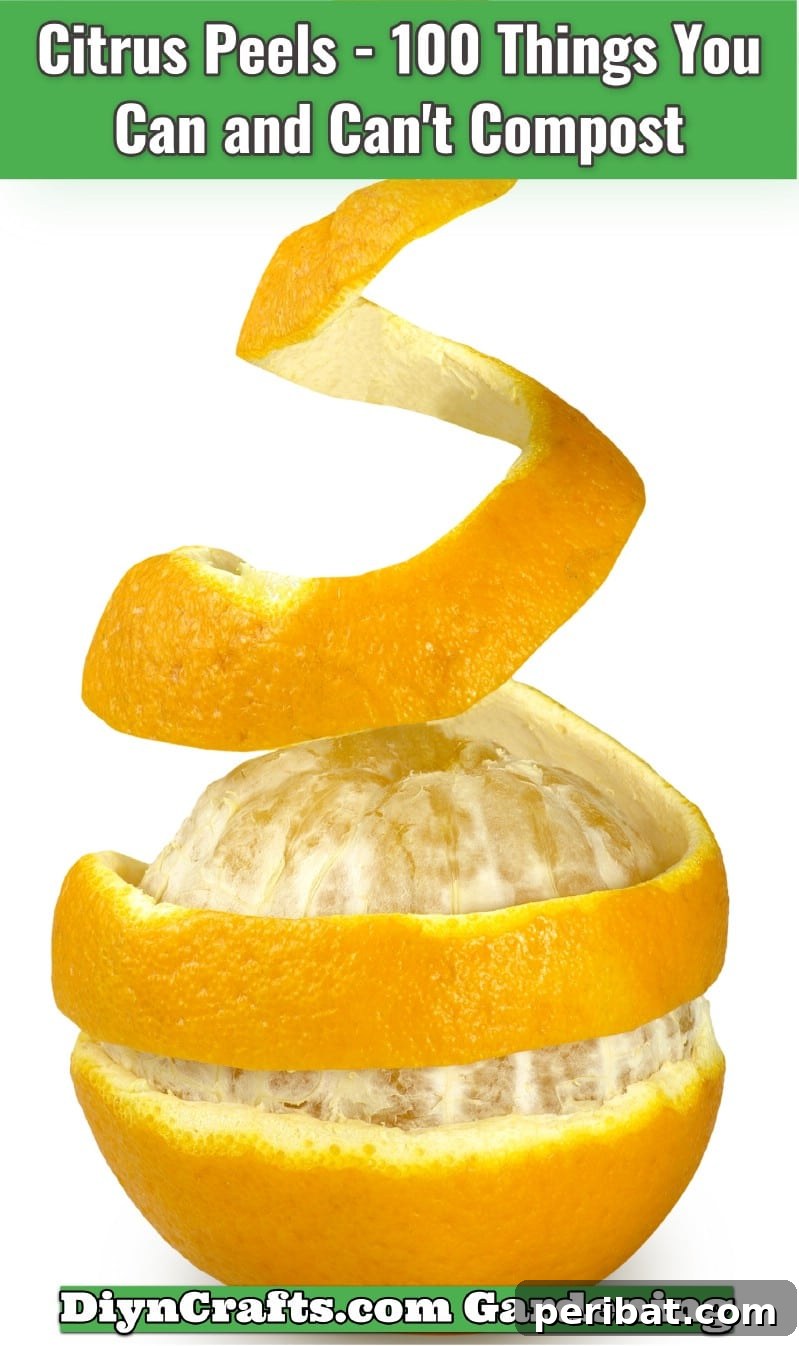 Citrus Peels