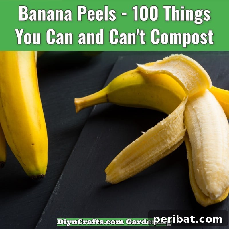 Banana Peels