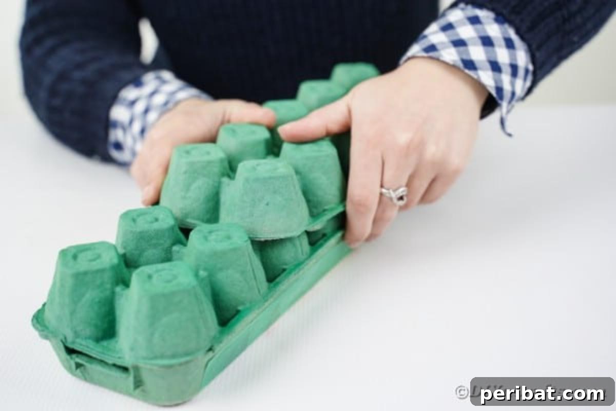 A partially assembled green egg carton dragon body with two sections glued, showing the offset head.