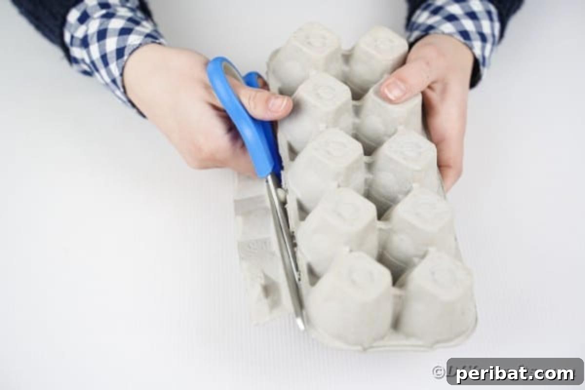 A hand cutting an egg carton in half with scissors along the crease.