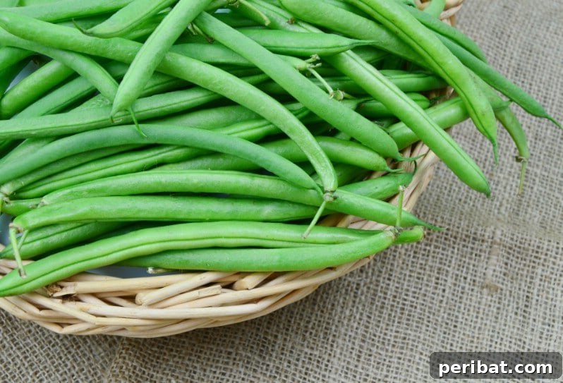 Bush beans