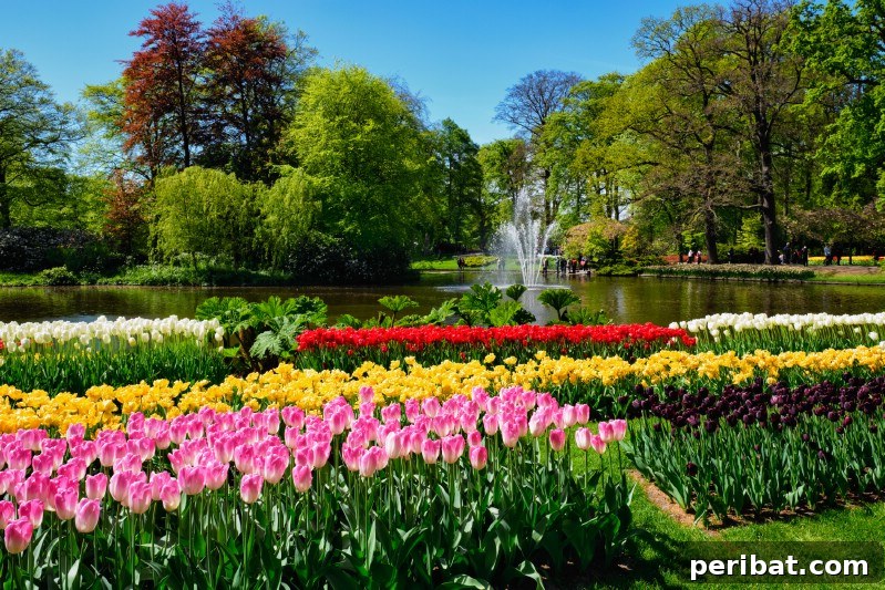 A Sea of 7 Million Blooms Netherlands Grandest Gardens in 50 Photos 11 Waterworks and Keukenhof Fountains