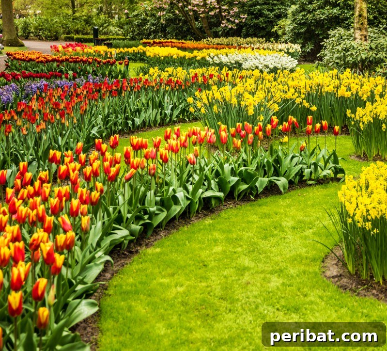A Sea of 7 Million Blooms Netherlands Grandest Gardens in 50 Photos 13 Mulched Garden at Keukenhof