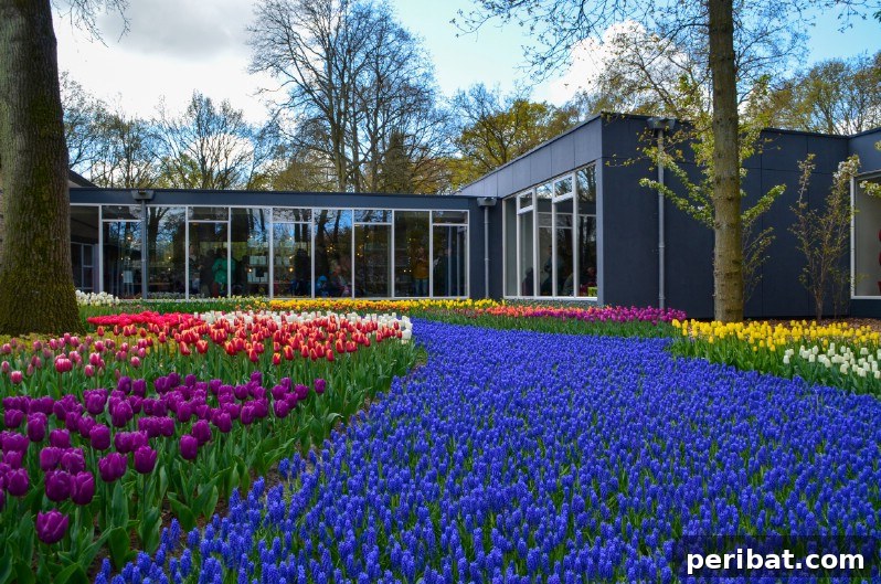 A Sea of 7 Million Blooms Netherlands Grandest Gardens in 50 Photos 15 Backyard Planting at Keukenhof