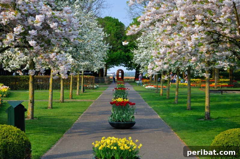 A Sea of 7 Million Blooms Netherlands Grandest Gardens in 50 Photos 20 Spring Blooms at Dutch Gardens