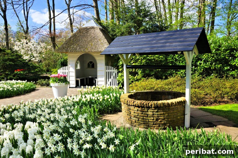 A Sea of 7 Million Blooms Netherlands Grandest Gardens in 50 Photos 22 Scenic Cottage at Keukenhof