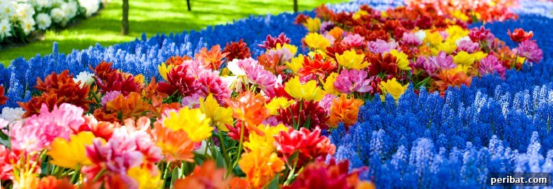 A Sea of 7 Million Blooms Netherlands Grandest Gardens in 50 Photos 24 Springtime Colors at Keukenhof