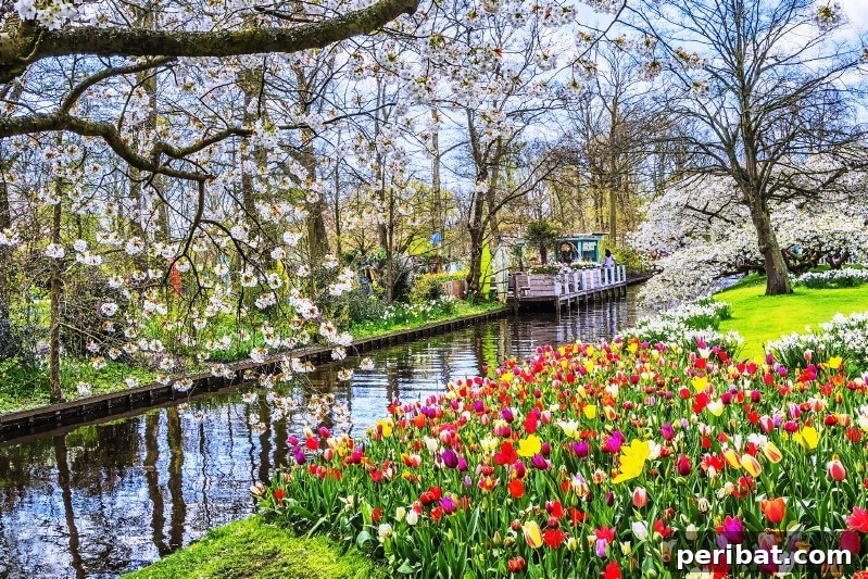 A Sea of 7 Million Blooms Netherlands Grandest Gardens in 50 Photos 25 Tulips, Trees, and More in Bloom