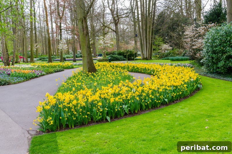 A Sea of 7 Million Blooms Netherlands Grandest Gardens in 50 Photos 28 Beautiful Edging and Flowers in Bloom