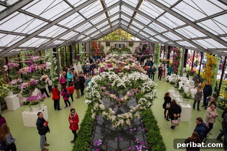 A Sea of 7 Million Blooms Netherlands Grandest Gardens in 50 Photos 29 Planting in a Greenhouse at Keukenhof