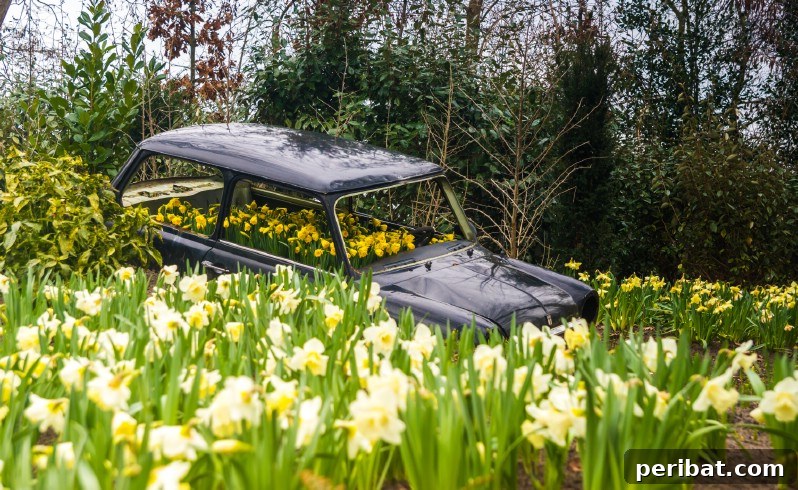 A Sea of 7 Million Blooms Netherlands Grandest Gardens in 50 Photos 30 Unique Art Garden Installation