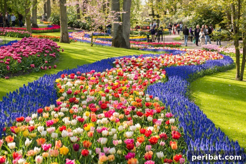 A Sea of 7 Million Blooms Netherlands Grandest Gardens in 50 Photos 4 Create Gorgeous Borders Like These