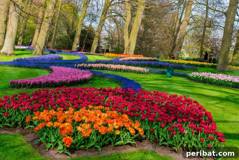 Flower garden stream between trees.