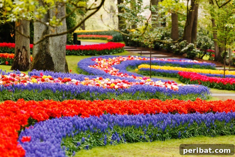 Colorful flowers in a garden park.