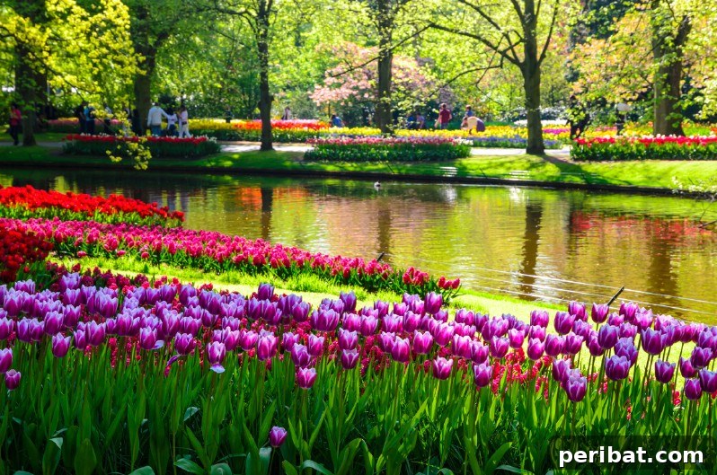Lovely flowers next to a river.